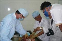 Nhấn vào để xem ..