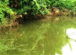 Nhấn vào để xem ..
