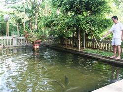 Nhấn vào để xem ..