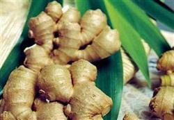 Nhấn vào để xem ..