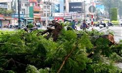 Nhấn vào để xem ..