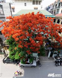 Nhấn vào để xem ..